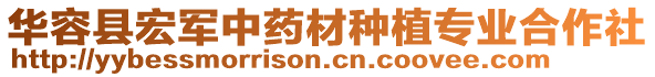 華容縣宏軍中藥材種植專業(yè)合作社