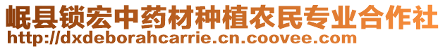 岷縣鎖宏中藥材種植農(nóng)民專業(yè)合作社