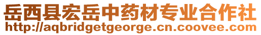 岳西縣宏岳中藥材專業(yè)合作社