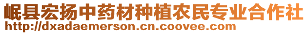 岷縣宏揚(yáng)中藥材種植農(nóng)民專業(yè)合作社