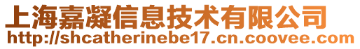 上海嘉凝信息技術(shù)有限公司