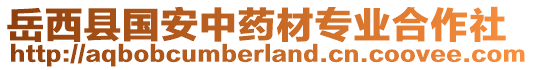 岳西縣國安中藥材專業(yè)合作社