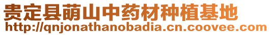 貴定縣萌山中藥材種植基地