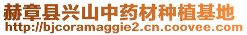 赫章縣興山中藥材種植基地