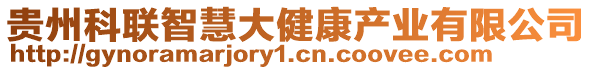 貴州科聯(lián)智慧大健康產(chǎn)業(yè)有限公司