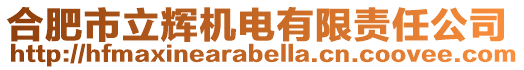 合肥市立輝機電有限責(zé)任公司