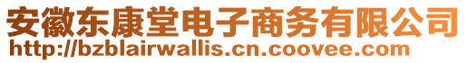 安徽東康堂電子商務(wù)有限公司