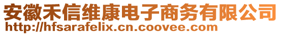 安徽禾信維康電子商務(wù)有限公司