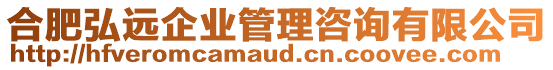 合肥弘遠(yuǎn)企業(yè)管理咨詢有限公司