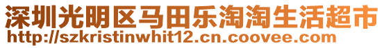 深圳光明區(qū)馬田樂淘淘生活超市