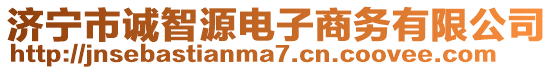 濟寧市誠智源電子商務有限公司
