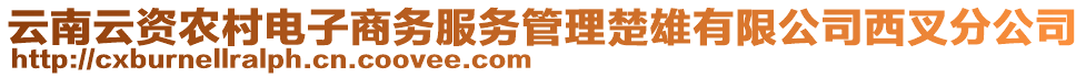 云南云資農村電子商務服務管理楚雄有限公司西叉分公司