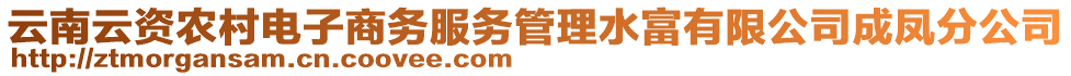 云南云資農(nóng)村電子商務(wù)服務(wù)管理水富有限公司成鳳分公司