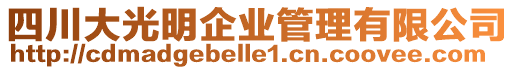 四川大光明企業(yè)管理有限公司