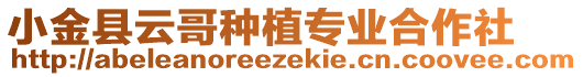 小金縣云哥種植專業(yè)合作社