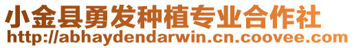 小金縣勇發(fā)種植專業(yè)合作社