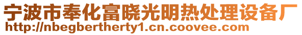 宁波市奉化富晓光明热处理设备厂