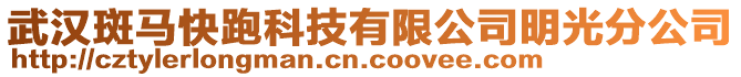 武漢斑馬快跑科技有限公司明光分公司