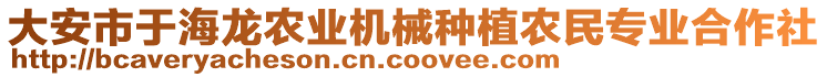 大安市于海龍農(nóng)業(yè)機(jī)械種植農(nóng)民專(zhuān)業(yè)合作社