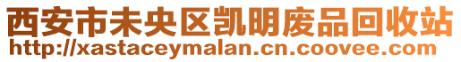 西安市未央区凯明废品回收站