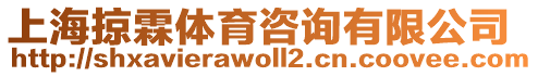 上海掠霖體育咨詢有限公司