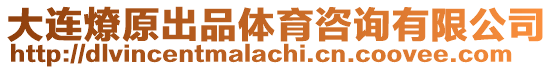 大連燎原出品體育咨詢有限公司