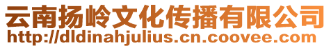 云南揚(yáng)嶺文化傳播有限公司