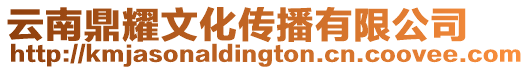 云南鼎耀文化傳播有限公司