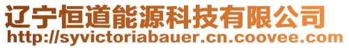 遼寧恒道能源科技有限公司