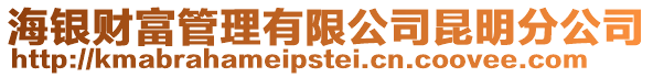 海銀財(cái)富管理有限公司昆明分公司