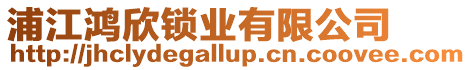 浦江鴻欣鎖業(yè)有限公司