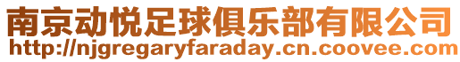 南京動悅足球俱樂部有限公司