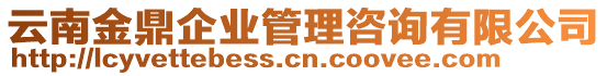 云南金鼎企業(yè)管理咨詢有限公司