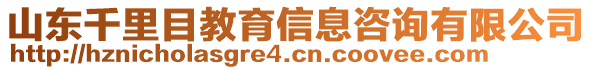 山東千里目教育信息咨詢(xún)有限公司