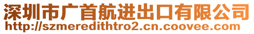 深圳市廣首航進(jìn)出口有限公司