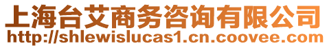 上海臺(tái)艾商務(wù)咨詢有限公司