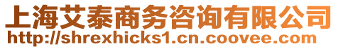 上海艾泰商務(wù)咨詢有限公司