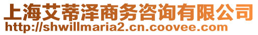 上海艾蒂澤商務(wù)咨詢有限公司