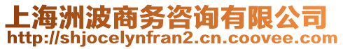 上海洲波商務(wù)咨詢有限公司