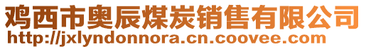 雞西市奧辰煤炭銷售有限公司