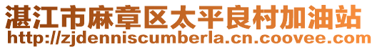 湛江市麻章區(qū)太平良村加油站