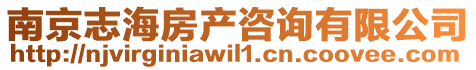 南京志海房產(chǎn)咨詢有限公司