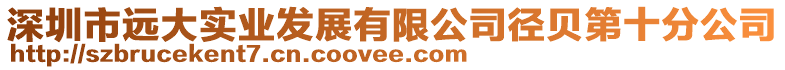 深圳市遠(yuǎn)大實業(yè)發(fā)展有限公司徑貝第十分公司