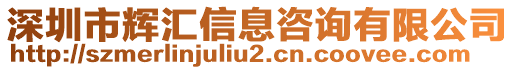 深圳市輝匯信息咨詢有限公司