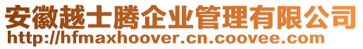 安徽越士騰企業(yè)管理有限公司