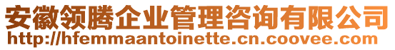 安徽領(lǐng)騰企業(yè)管理咨詢有限公司