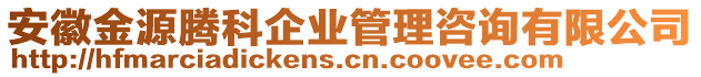 安徽金源騰科企業(yè)管理咨詢有限公司