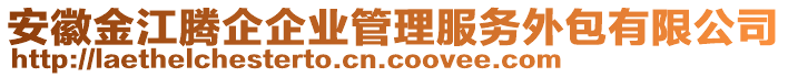 安徽金江騰企企業(yè)管理服務(wù)外包有限公司