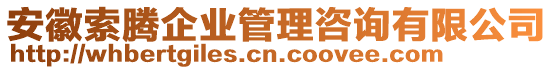 安徽索騰企業(yè)管理咨詢有限公司