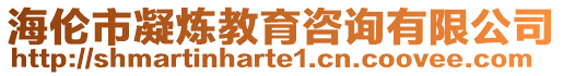 海倫市凝煉教育咨詢有限公司